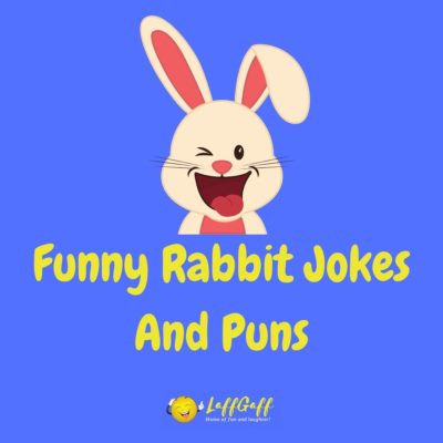Rabbit Jokes And Puns