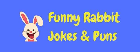 Header image for a page of funny rabbit jokes and puns.