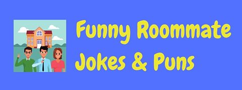 Header image for a page of funny roommate jokes and puns.
