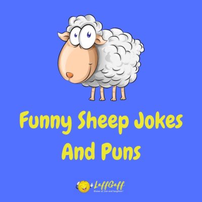 Sheep Jokes And Puns