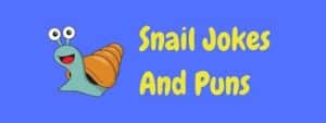 30+ Hilarious Snail Jokes And Puns! | LaffGaff