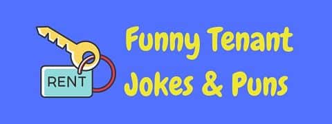 Header image for a page of funny tenant jokes and puns.