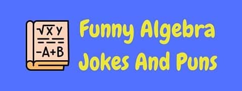 30+ Funny Algebra Jokes And Puns! | LaffGaff