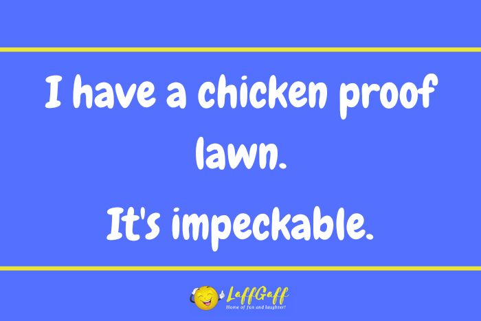 Chicken proof joke from LaffGaff.