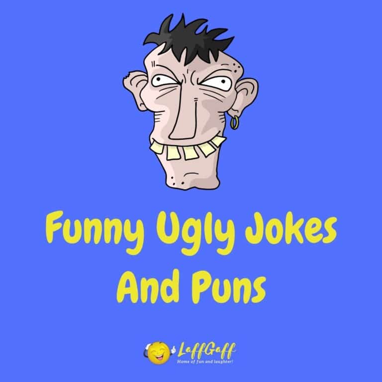 50+ Funny Fat Jokes And One Liners (Funny Obesity Jokes)!