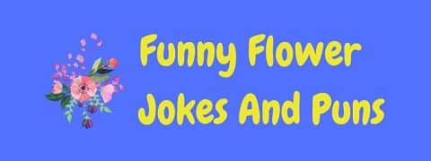 Header image for a page of funny flower jokes and puns.