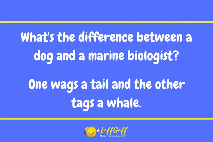 Marine biologist and dog joke from LaffGaff.
