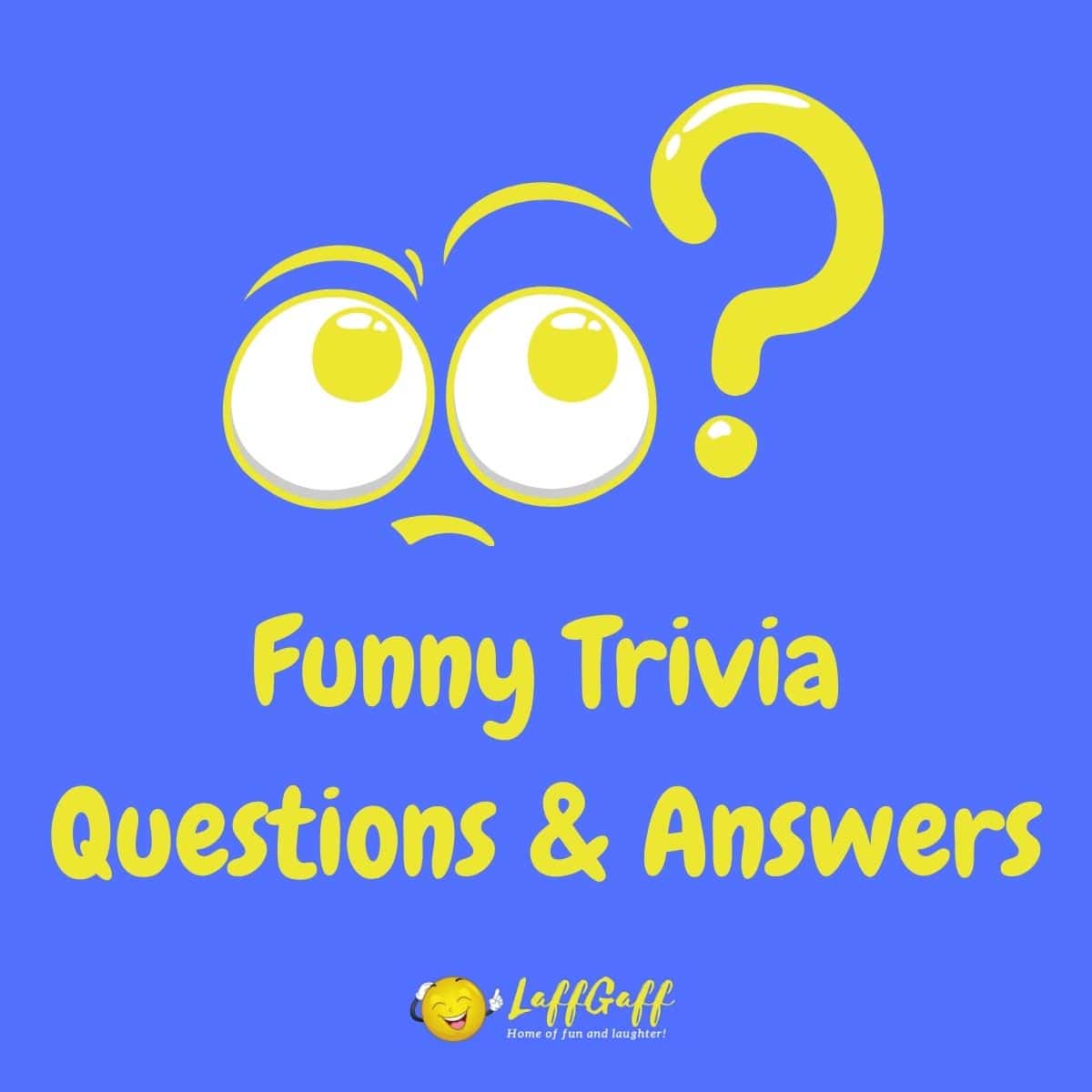 Fun Trivia Questions