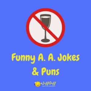 100s Of Really Funny Jokes And Puns! | LaffGaff