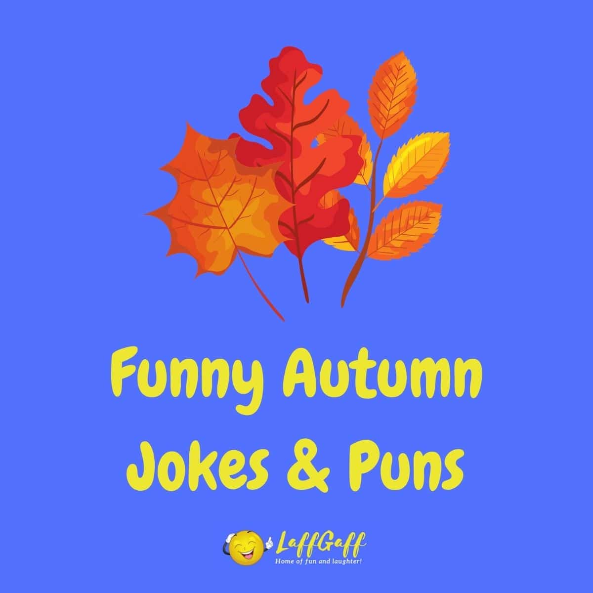 Featured image for a page of funny fall and autumn jokes and puns.