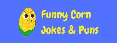 40+ Hilarious Corn Jokes And Puns! | LaffGaff