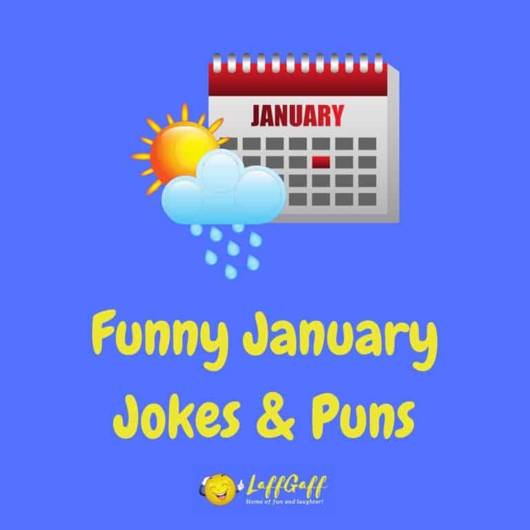 25+ Hilarious New Year's Eve Jokes! LaffGaff