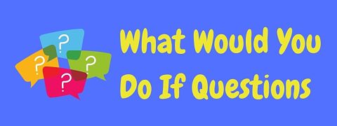 Header image for a page of fun and thought-provoking what would you do if questions.