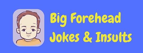 Header image for a page of funny big forehead jokes, roasts and insults.