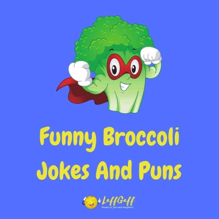 100s Of Really Funny Jokes And Puns! | LaffGaff