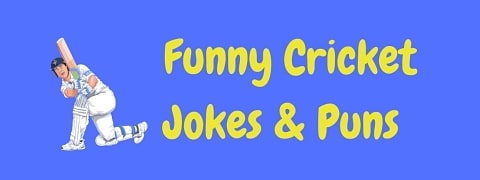 Header image for a page of funny cricket jokes and puns.