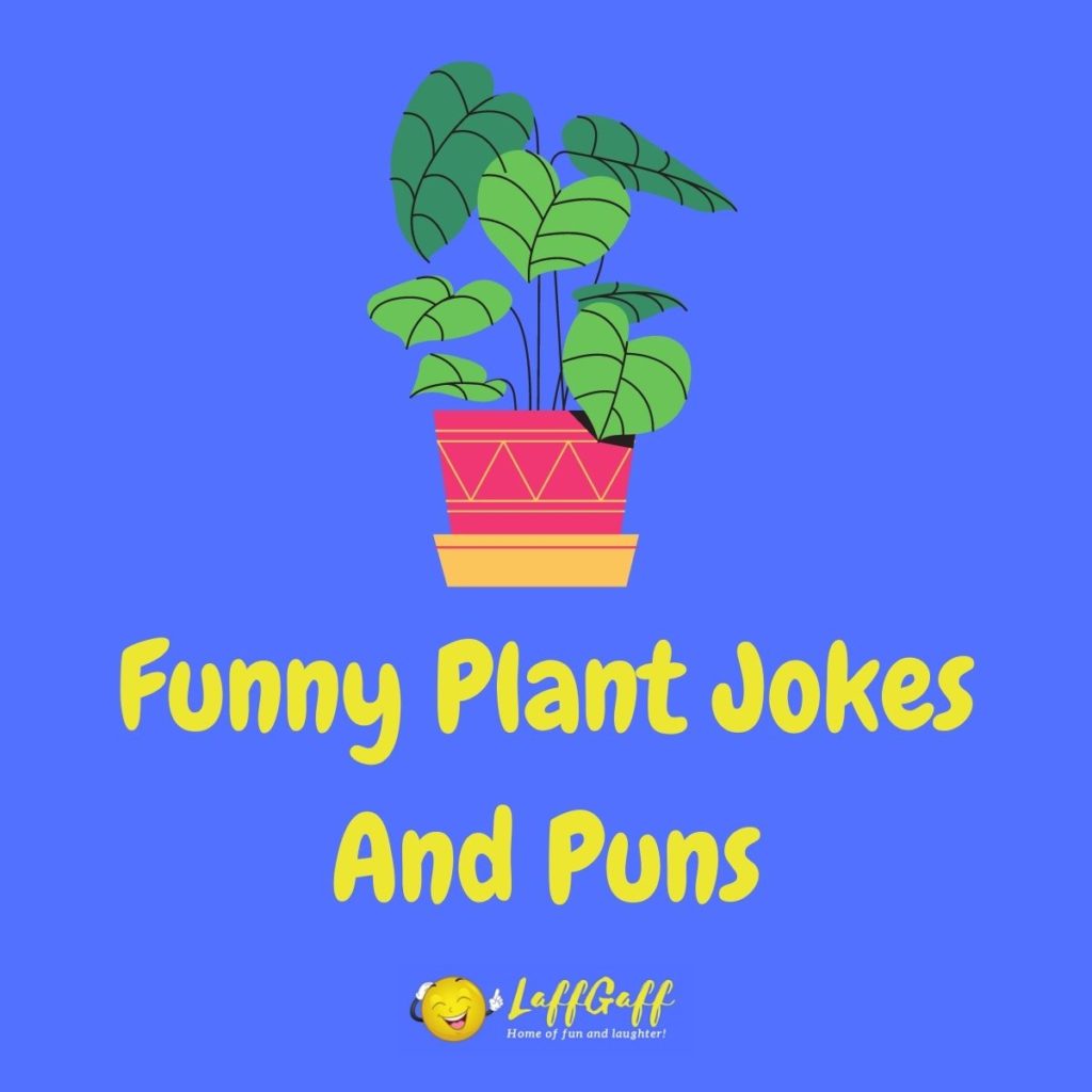 Featured image for a page of funny plant jokes and puns.