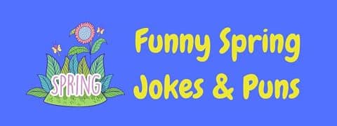 Header image for a page of funny spring jokes and puns.