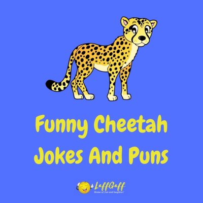 Cheetah Jokes And Puns