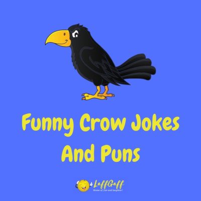 Crow Jokes And Puns
