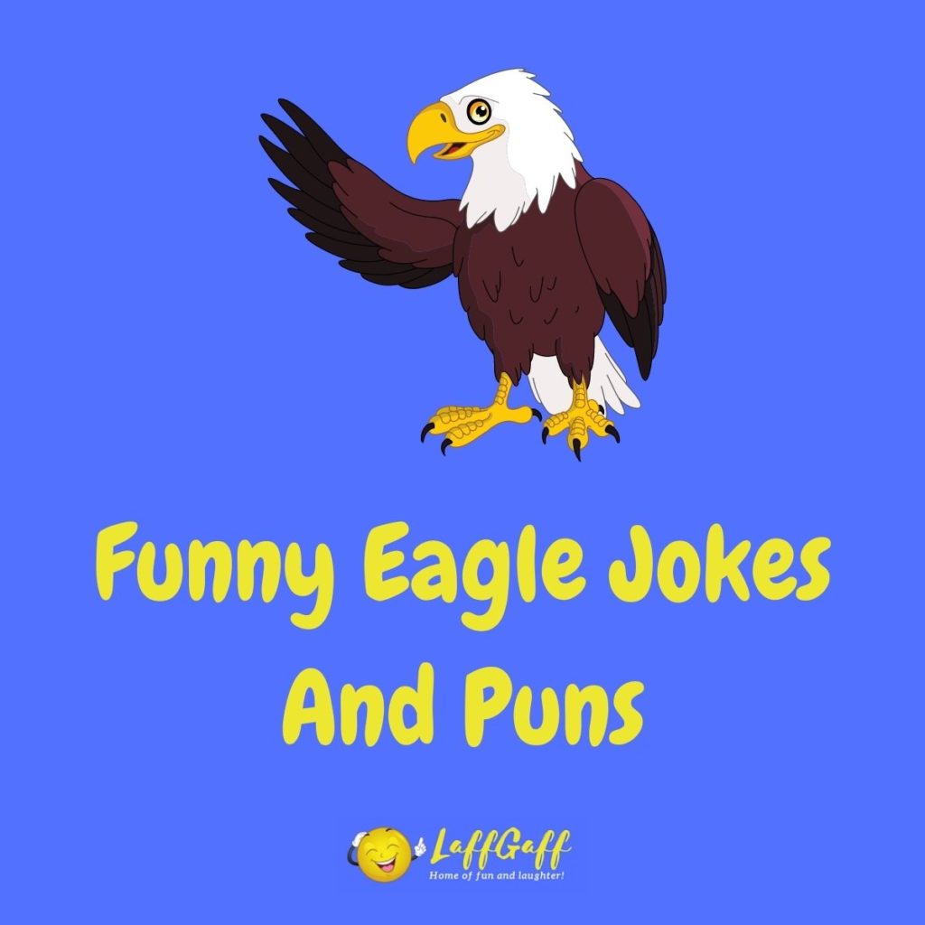 Featured image for a page of funny eagle jokes and puns.