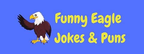 Header image for a page of funny eagle jokes and puns.