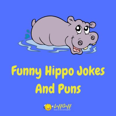 Hippo Jokes And Puns