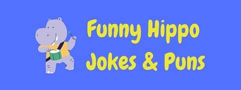 Header image for a page of funny hippo jokes and puns.