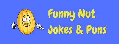 Header image for a page of funny nut jokes and puns.