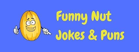 Header image for a page of funny nut jokes and puns.