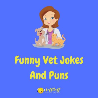 Vet Jokes And Puns