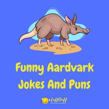 1,000s of Funny Animal Jokes | LaffGaff, Home of Laughter