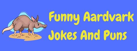 Header image for a page of funny aardvark jokes and puns.