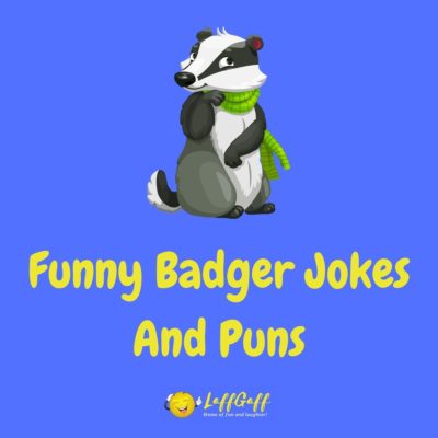 Badger Jokes And Puns