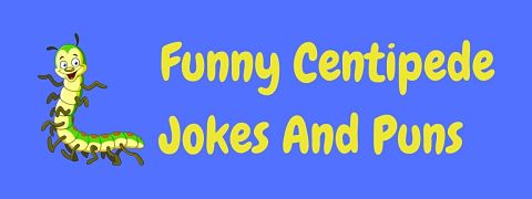 Header image for a page of funny centipede jokes and puns.