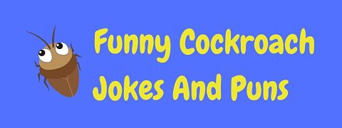 Header image for a page of funny cockroach jokes and puns.
