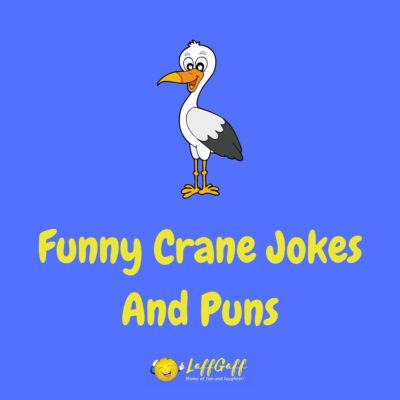 Crane Jokes And Puns