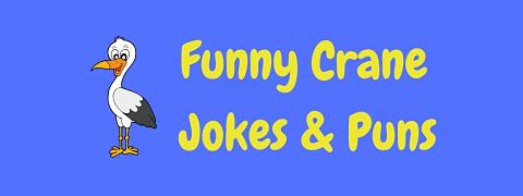 Header image for a page of funny crane jokes and puns.