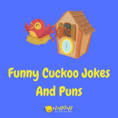 Cuckoo Jokes And Puns
