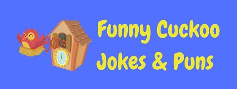 Header image for a page of funny cuckoo jokes and puns.
