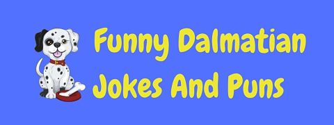 Header image for a page of funny Dalmatian jokes and puns.