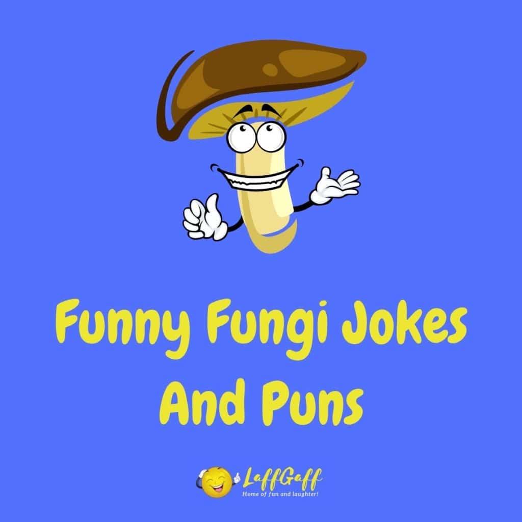 30+ Hilarious Mushroom Jokes And Puns! | LaffGaff