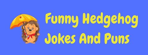 Header image for a page of funny hedgehog jokes and puns.