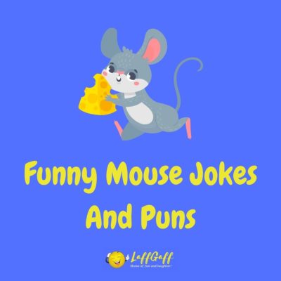 Mouse Jokes And Puns
