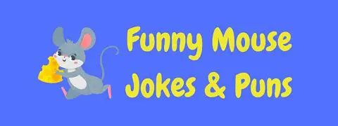 Header image for a page of funny mouse jokes and puns.