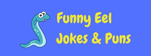 Header image for a page of funny eel jokes and puns.