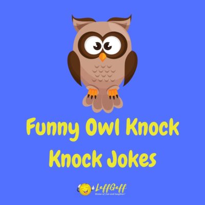 Owl Knock Knock Jokes