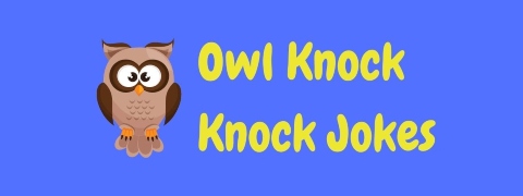 Header image for a page of funny owl knock knock jokes.