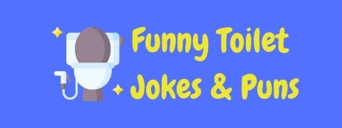 40+ Hilarious Toilet Jokes And Puns! | LaffGaff