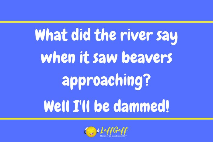 Beavers approaching joke from LaffGaff.